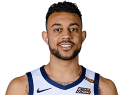 奈吉尔高斯威廉姆斯